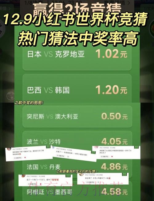 揭秘世界杯赛事竞猜策略与技巧